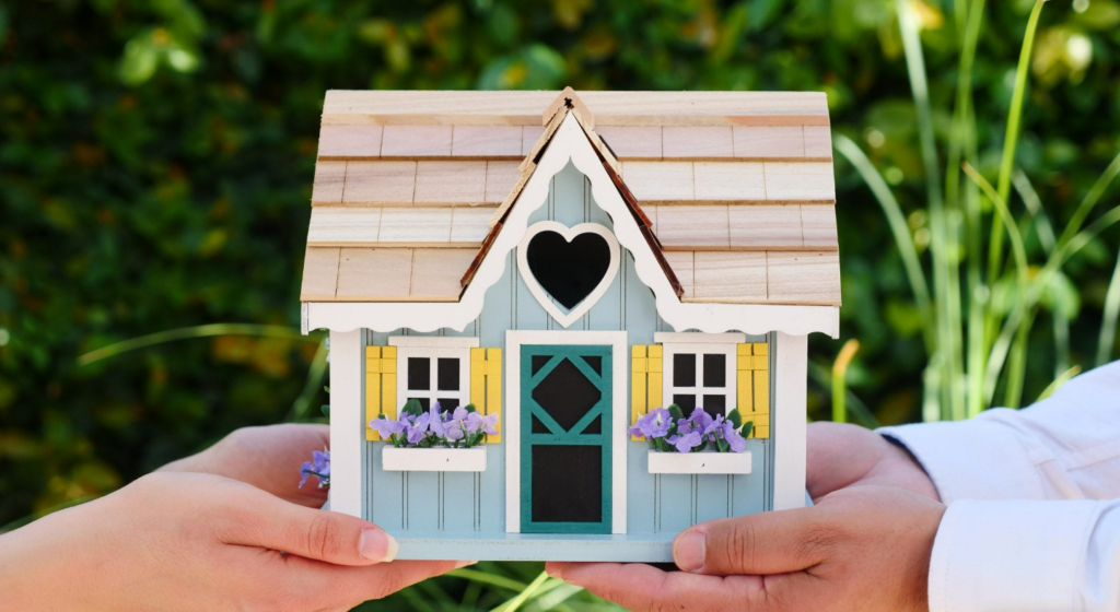 First Home Buyer