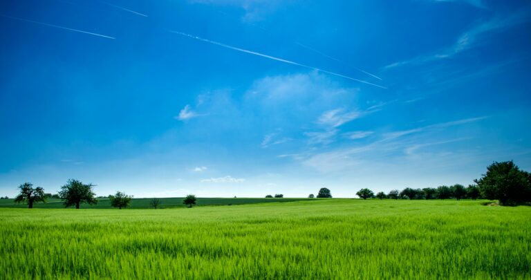 Expansive green field , which can be purchased using a land loan, under a clear blue sky with a few scattered trees.